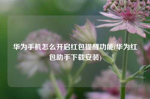 华为手机怎么开启红包提醒功能(华为红包助手下载安装)