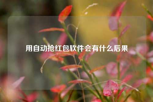 用自动抢红包软件会有什么后果