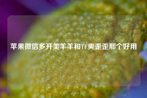 苹果微信多开美羊羊和TF爽歪歪那个好用