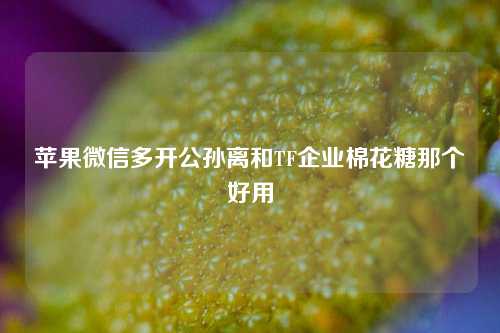 苹果微信多开公孙离和TF企业棉花糖那个好用