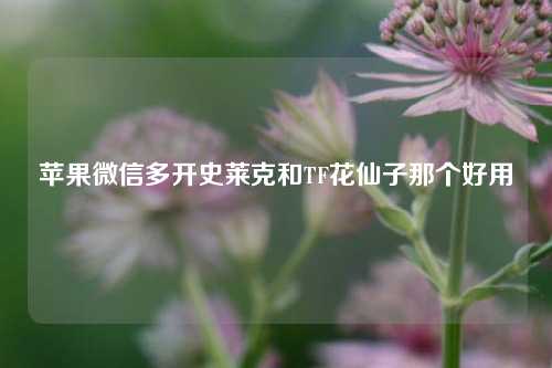 苹果微信多开史莱克和TF花仙子那个好用