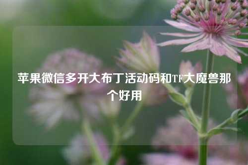 苹果微信多开大布丁活动码和TF大魔兽那个好用