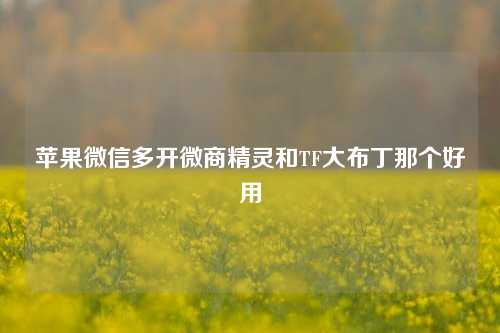 苹果微信多开微商精灵和TF大布丁那个好用