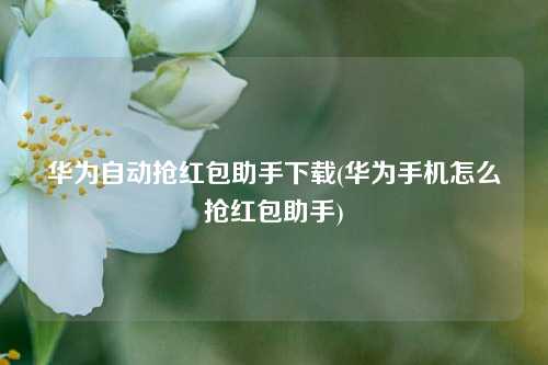 华为自动抢红包助手下载(华为手机怎么抢红包助手)