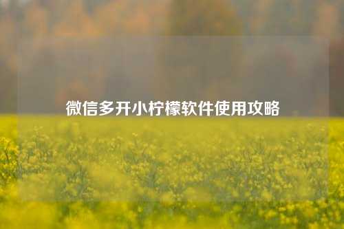 微信多开小柠檬软件使用攻略