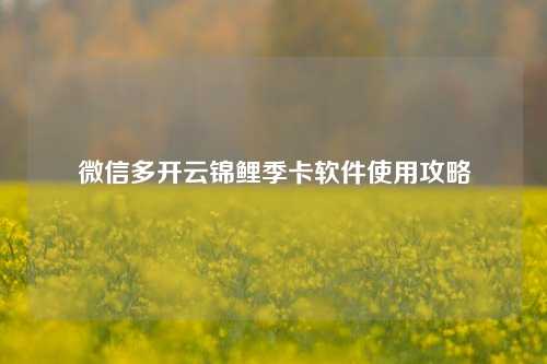 微信多开云锦鲤季卡软件使用攻略