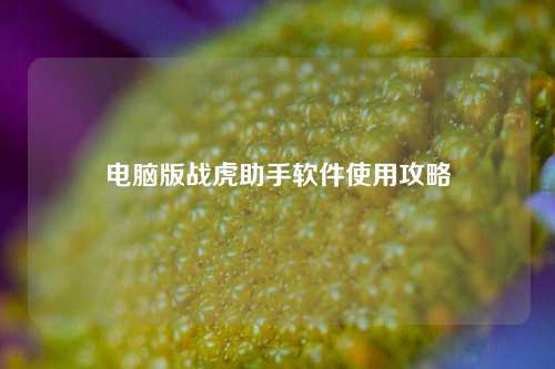 电脑版战虎助手软件使用攻略