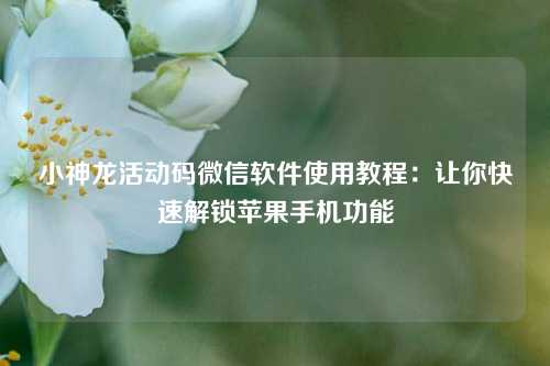 小神龙活动码微信软件使用教程：让你快速解锁苹果手机功能