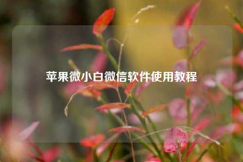 苹果微小白微信软件使用教程