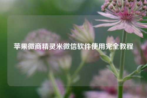 苹果微商精灵米微信软件使用完全教程