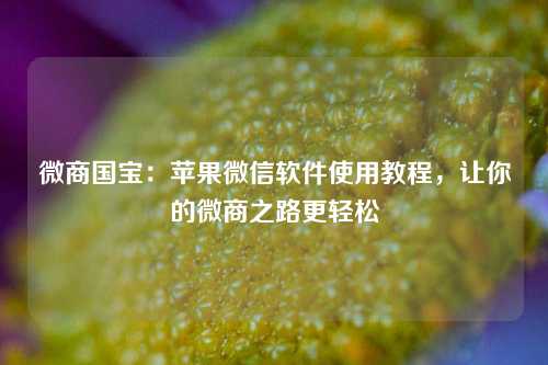 微商国宝：苹果微信软件使用教程，让你的微商之路更轻松