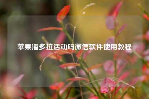 苹果潘多拉活动码微信软件使用教程