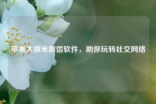 苹果大微米微信软件，助你玩转社交网络