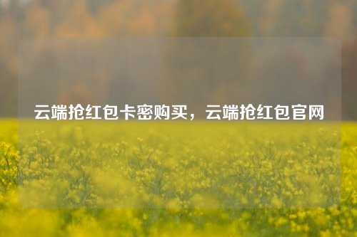 云端抢红包卡密购买，云端抢红包官网