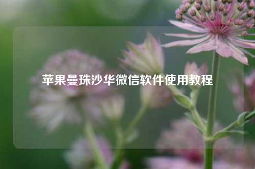 苹果曼珠沙华微信软件使用教程