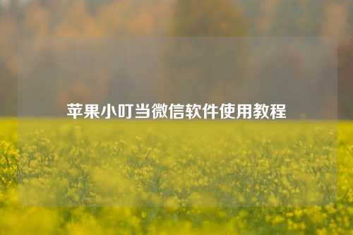 苹果小叮当微信软件使用教程