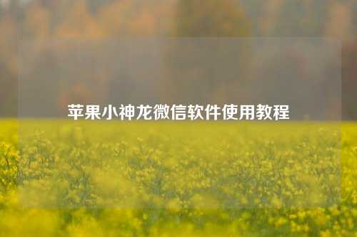 苹果小神龙微信软件使用教程