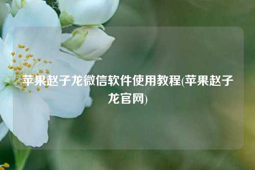 苹果赵子龙微信软件使用教程(苹果赵子龙官网)