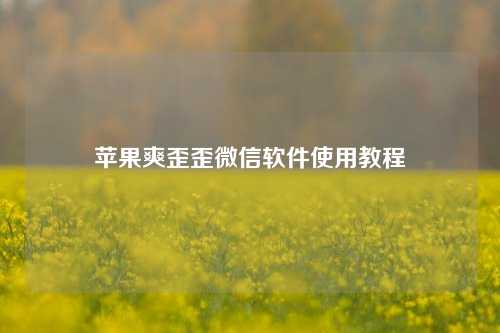 苹果爽歪歪微信软件使用教程