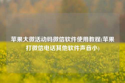 苹果大微活动码微信软件使用教程(苹果打微信电话其他软件声音小)