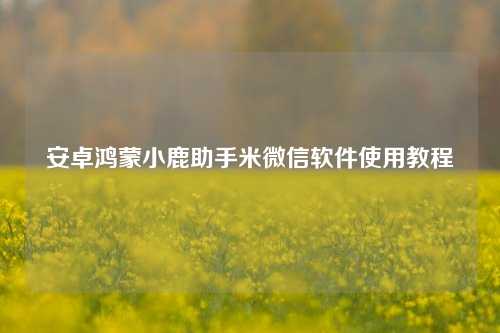 安卓鸿蒙小鹿助手米微信软件使用教程