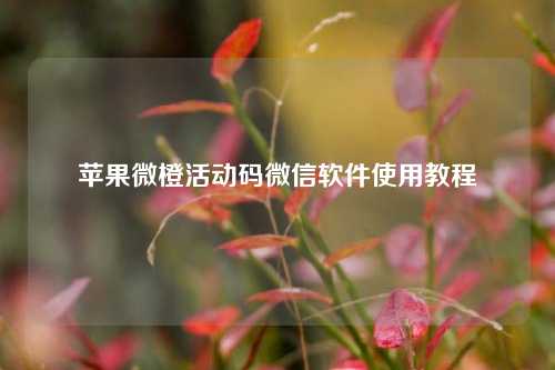 苹果微橙活动码微信软件使用教程