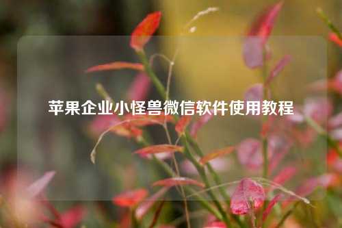 苹果企业小怪兽微信软件使用教程