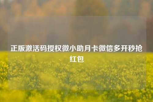 正版激活码授权微小助月卡微信多开秒抢红包