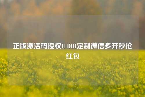 正版激活码授权U DID定制微信多开秒抢红包