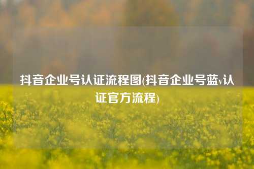 抖音企业号认证流程图(抖音企业号蓝v认证官方流程)