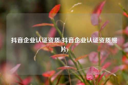 抖音企业认证资质(抖音企业认证资质照片)