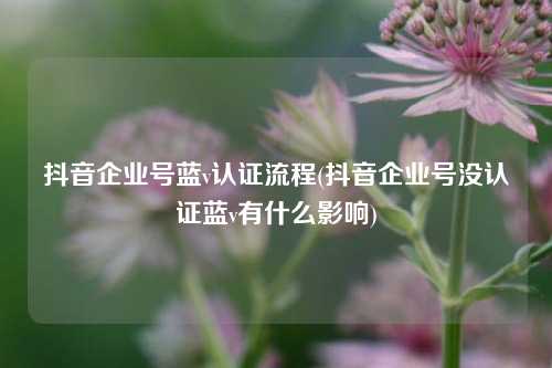 抖音企业号蓝v认证流程(抖音企业号没认证蓝v有什么影响)