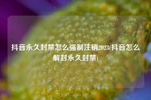 抖音永久封禁怎么强制注销2023(抖音怎么解封永久封禁)