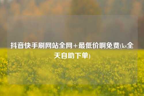 抖音快手刷网站全网+最低价啊免费(ks全天自助下单)