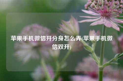 苹果手机微信开分身怎么弄(苹果手机微信双开)