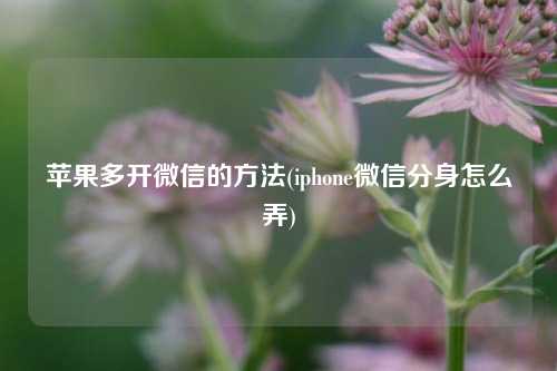 苹果多开微信的方法(iphone微信分身怎么弄)