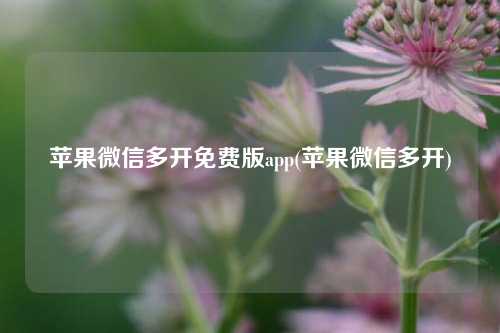 苹果微信多开免费版app(苹果微信多开)