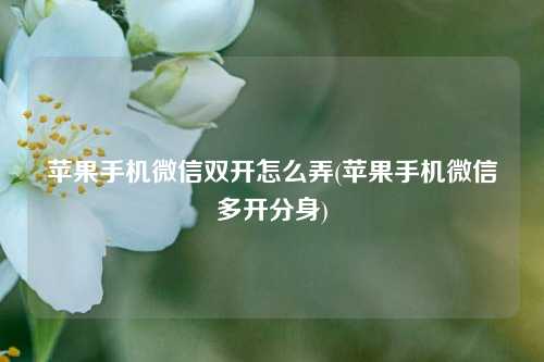 苹果手机微信双开怎么弄(苹果手机微信多开分身)