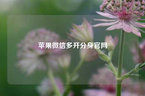 苹果微信多开分身官网