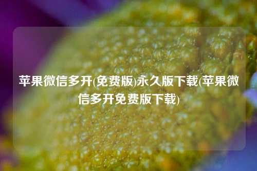 苹果微信多开(免费版)永久版下载(苹果微信多开免费版下载)