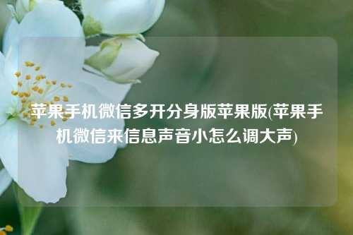 苹果手机微信多开分身版苹果版(苹果手机微信来信息声音小怎么调大声)