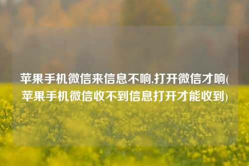 苹果手机微信来信息不响,打开微信才响(苹果手机微信收不到信息打开才能收到)