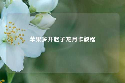 苹果多开赵子龙月卡教程