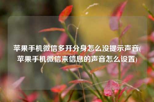 苹果手机微信多开分身怎么没提示声音(苹果手机微信来信息的声音怎么设置)