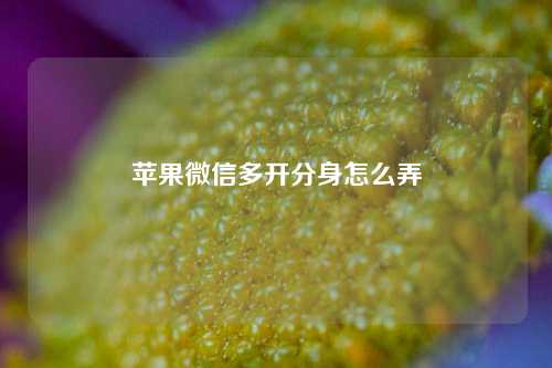 苹果微信多开分身怎么弄