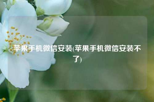 苹果手机微信安装(苹果手机微信安装不了)