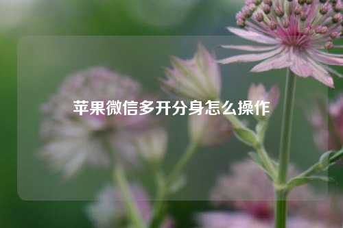 苹果微信多开分身怎么操作