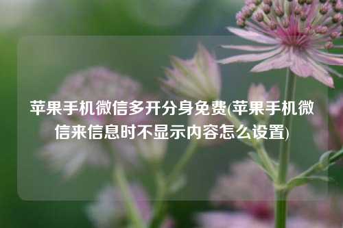 苹果手机微信多开分身免费(苹果手机微信来信息时不显示内容怎么设置)