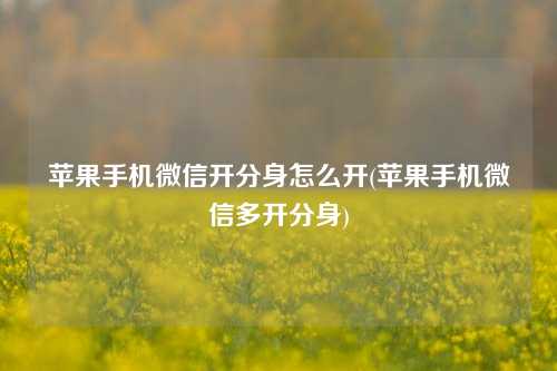 苹果手机微信开分身怎么开(苹果手机微信多开分身)