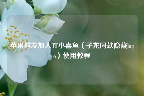 苹果群发加人TF小喜鱼（子龙同款隐藏logo）使用教程